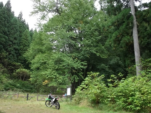 a0237349_1562891.jpg