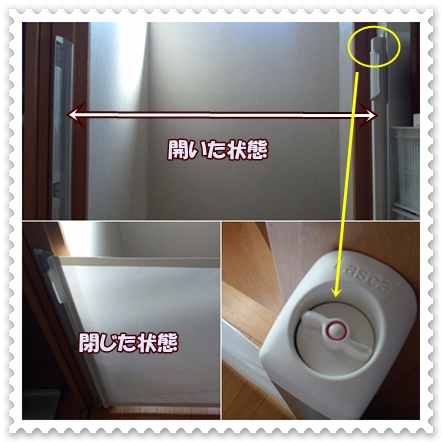 噛まれても噛まれても_c0049950_22525569.jpg