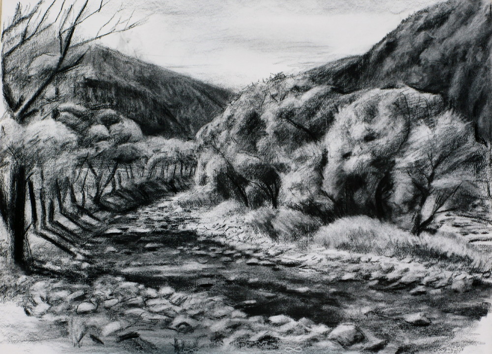 梓川の中洲------木炭　　Landscape (drawing charcoal on paper)_c0053351_14114852.jpg