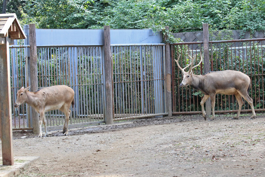 青葉くん同居開始！?_e0294253_1911170.jpg