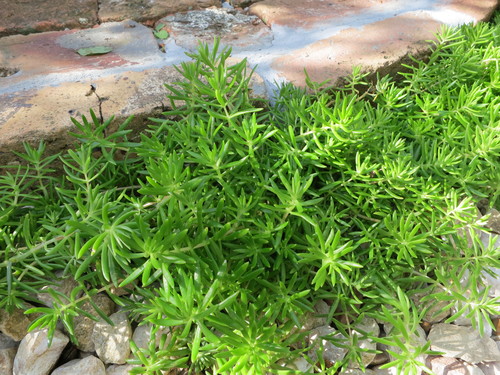 d0231057_22151560.jpg