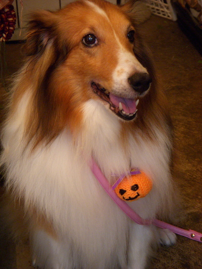 ハロウィンな気分の常連さん。。。_a0229658_15431168.jpg