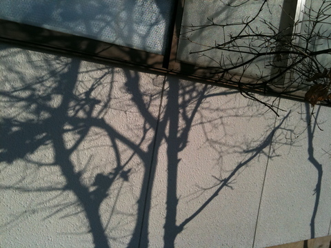 hgvgh_b0132059_2326362.jpg