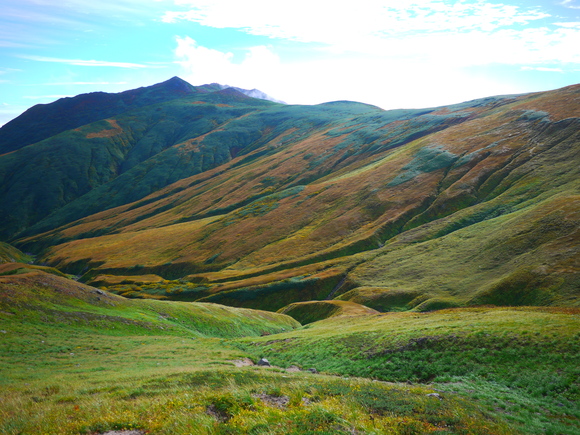 e0244967_21401476.jpg