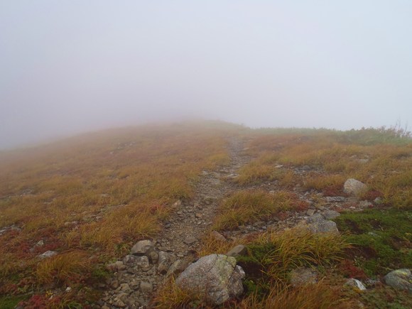 e0244967_21425835.jpg