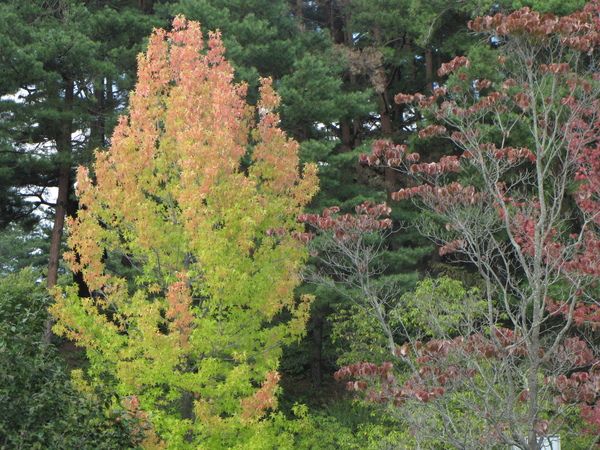 f0096067_1424459.jpg