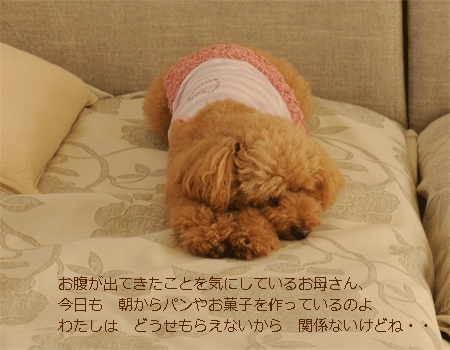 c0196673_12343553.gif