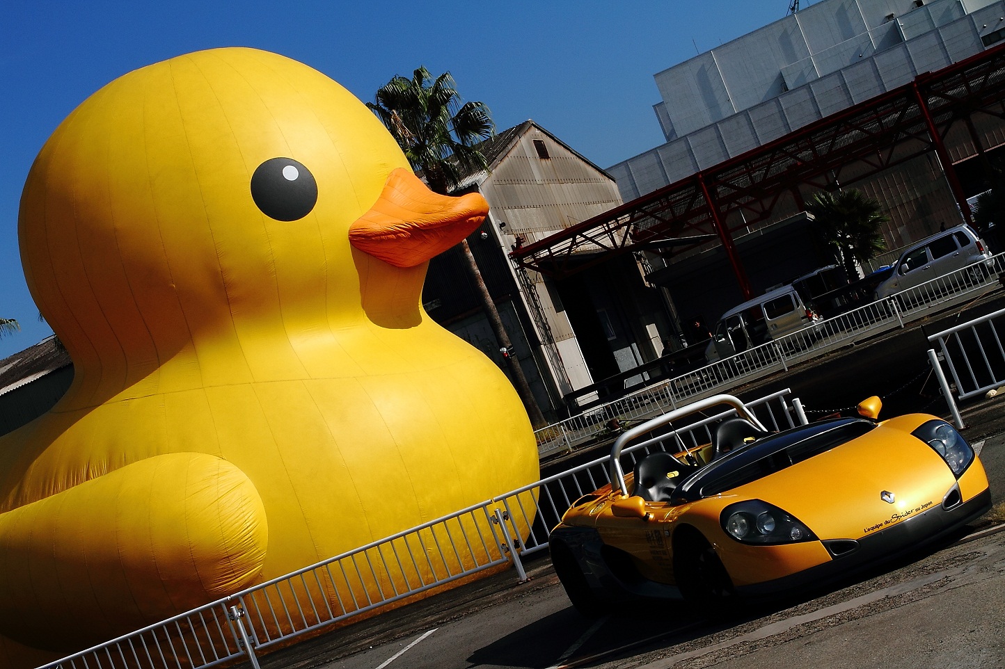 2012 Rubber Duck が今年も帰って来た！！_f0032275_22471392.jpg