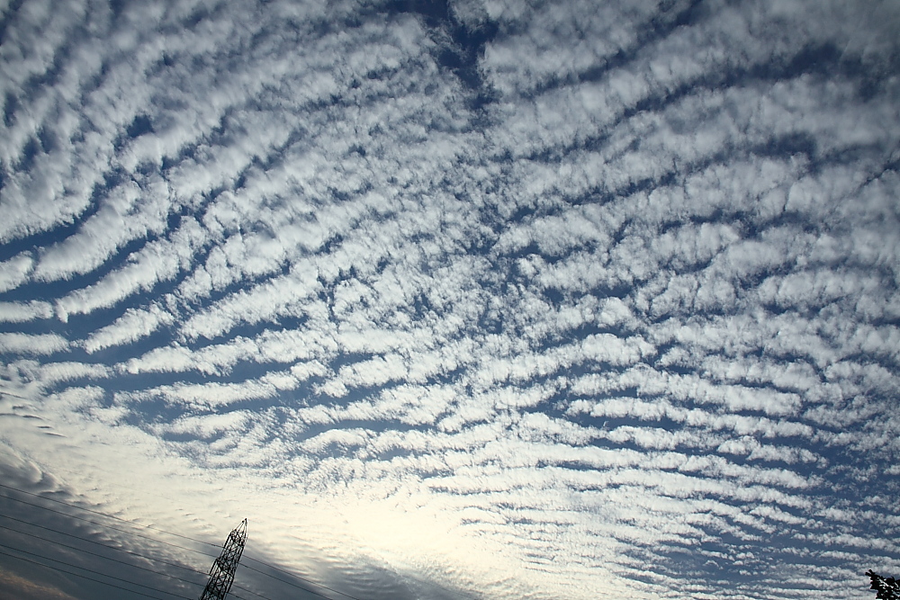 秋は空 10月13日の鯖雲 サバ雲 ぷんたのかあさん Photo徒然草