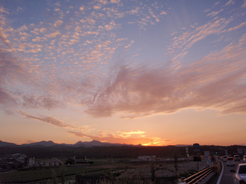 八面山　3日目　上部エリア_f0223480_8133325.jpg