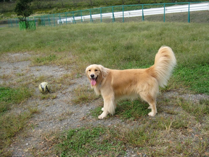 f0230380_15082.jpg