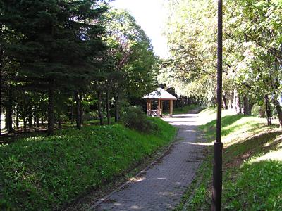 f0078286_1135660.jpg