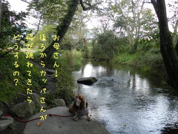 f0205887_18215866.jpg