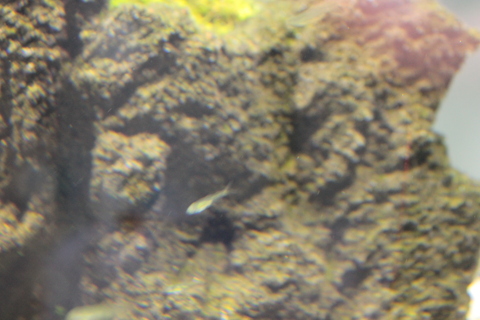 e0219497_9361064.jpg