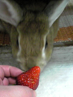 c0199098_043284.jpg
