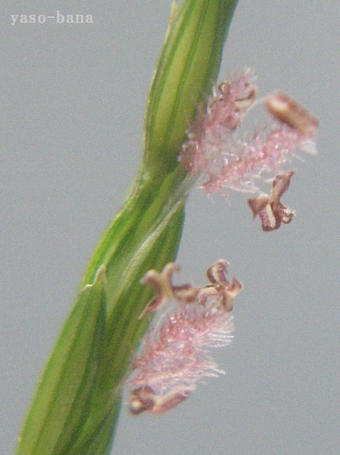 e0025300_15244915.jpg
