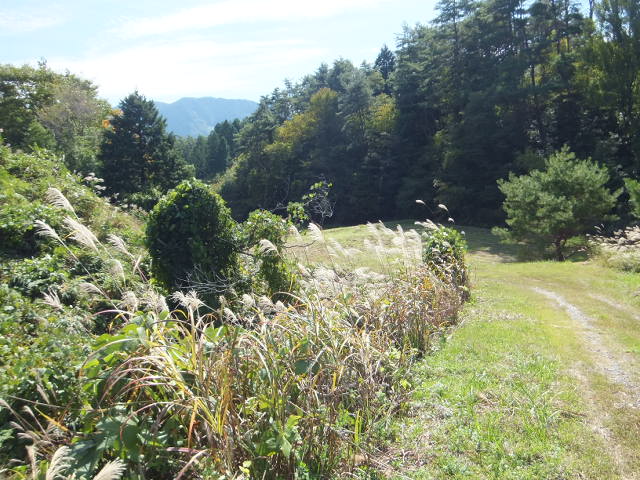 a0271502_214795.jpg