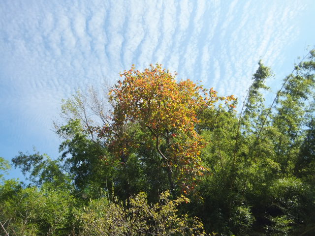 a0271502_2152380.jpg