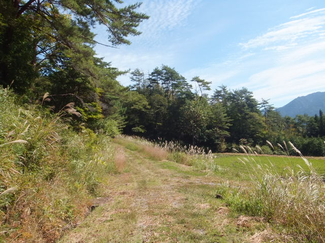 a0271502_2155189.jpg