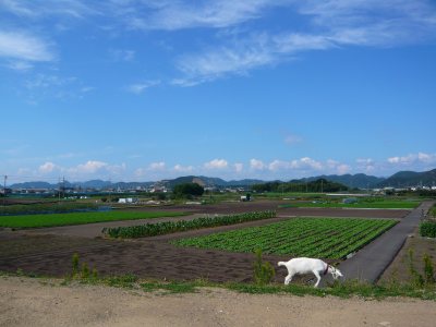 c0024502_238136.jpg