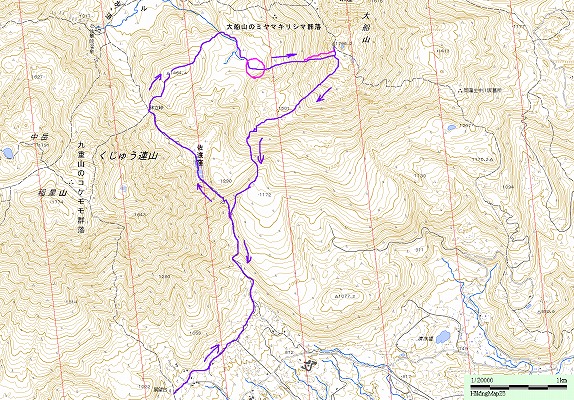 f0187402_23323588.jpg