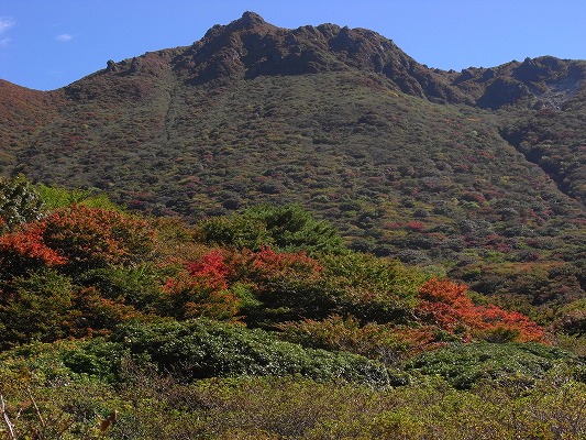 f0187402_23341292.jpg