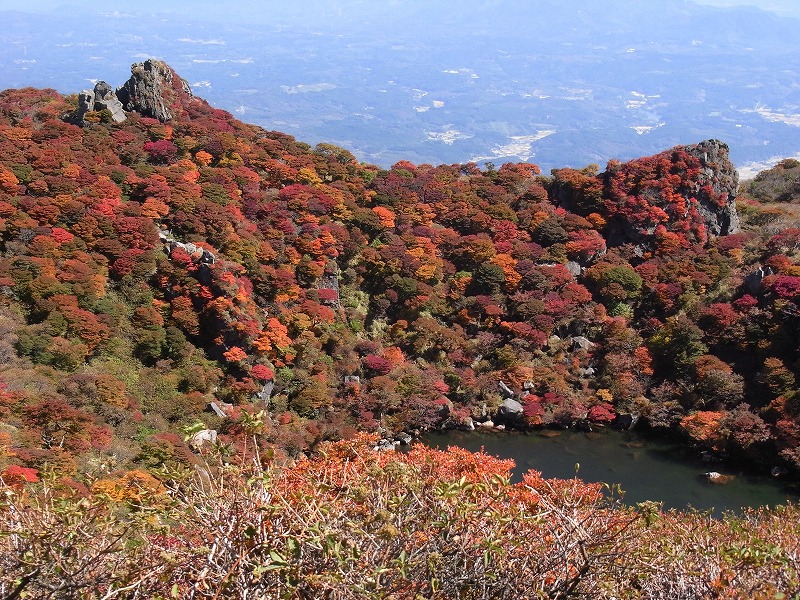 【紅葉速報；大船山】_f0187402_8202937.jpg