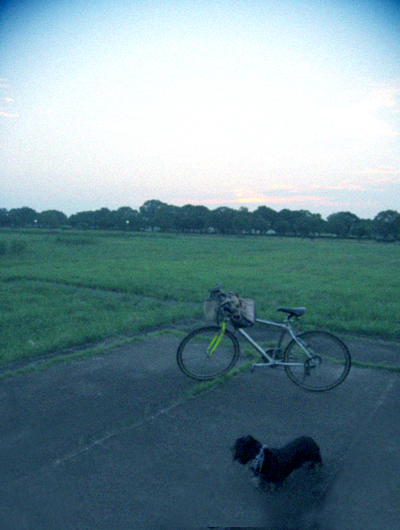 d0077603_975034.jpg