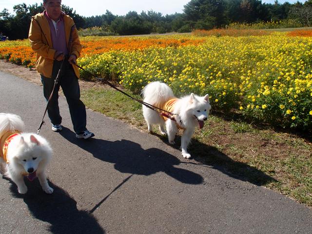 父さんの夏休み８日目　１０月１３日　[土]_e0018604_7155816.jpg