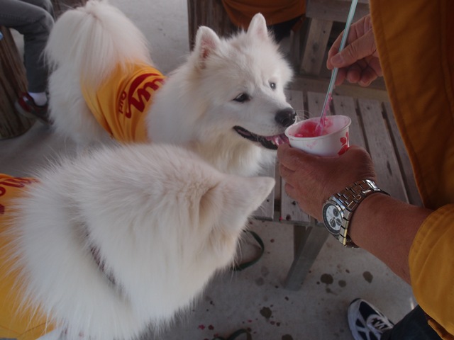 e0018604_7175323.jpg