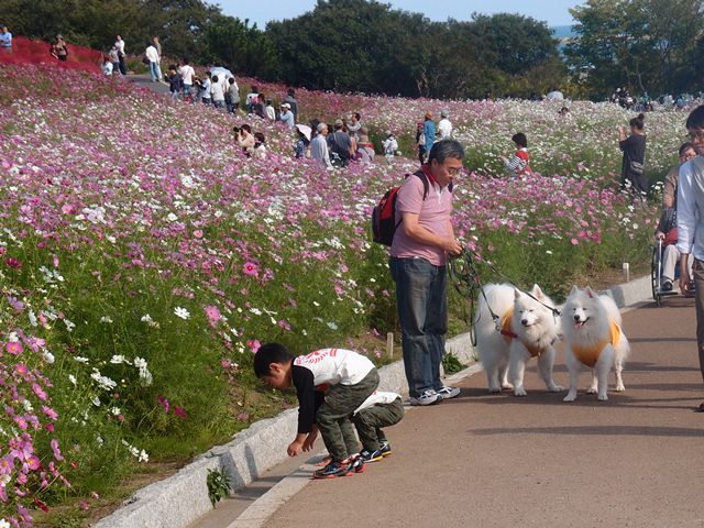 父さんの夏休み８日目　１０月１３日　[土]_e0018604_7221436.jpg