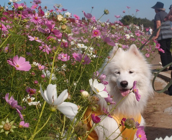 父さんの夏休み８日目　１０月１３日　[土]_e0018604_7225013.jpg