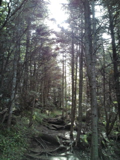 e0028904_21171160.jpg