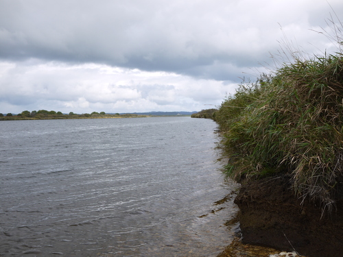 b0110205_10321143.jpg