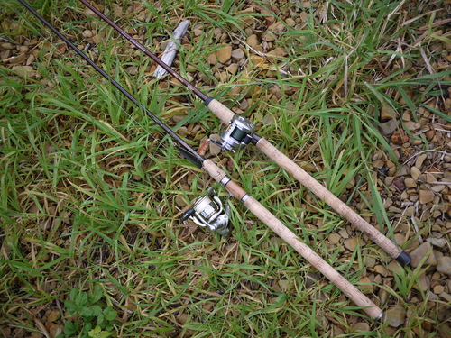 b0110205_1102627.jpg