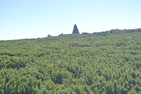 c0242406_1846334.jpg