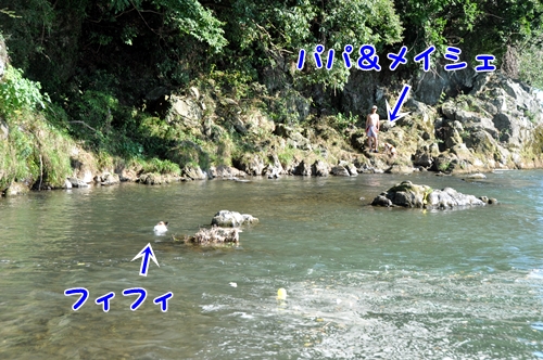 c0065512_110464.jpg