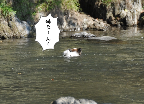 c0065512_1105555.jpg