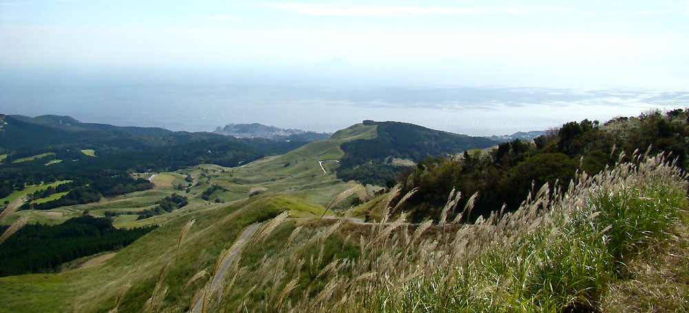 e0034012_10264562.jpg