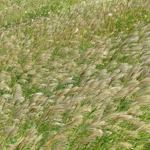 e0034012_10272345.jpg