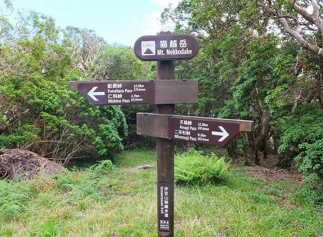 f0182513_23435329.jpg