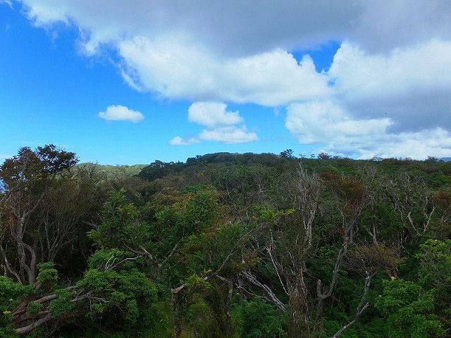 西天城、猫越岳へ_f0182513_23442413.jpg