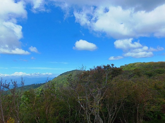 f0182513_2344972.jpg