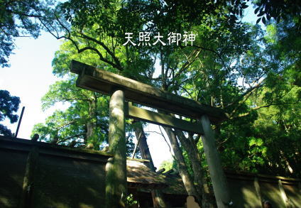e0099614_0344245.jpg