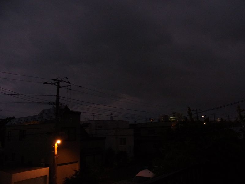 夕方から崩れた天気_c0025115_20505418.jpg