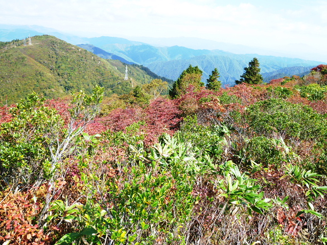 平家岳　(1,441.5M) に登る_d0170615_10163685.jpg