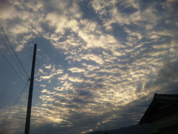 f0228619_21305814.jpg