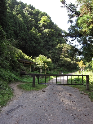 a0172222_15442914.jpg