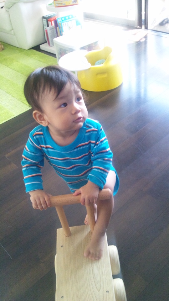 1歳1か月半になりました!_e0253026_914798.jpg