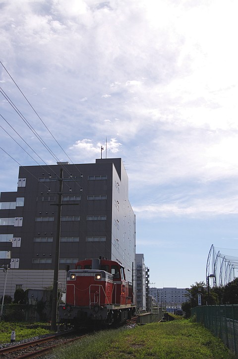 今日の越中島(10/13)_f0203926_065616.jpg